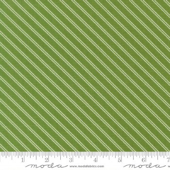 Bloomsberry Stripes Green