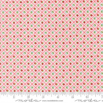 Bloomsberry Plaid Blush