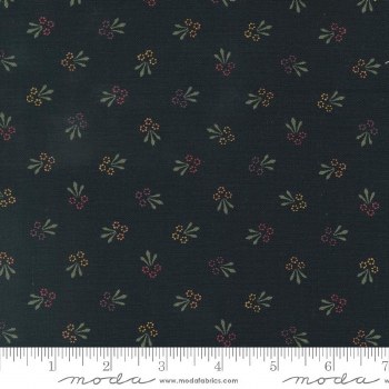 Daisy Lane Blooms Black