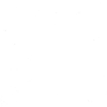 Bella Solid Off White