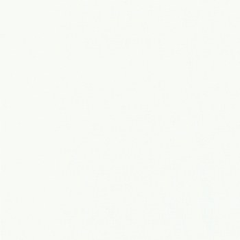 Bella Solids Bleached White