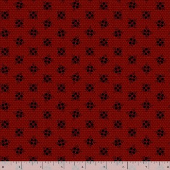 Dear Scarlet Waves Scarlet