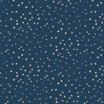 Liberty Island Stars Navy