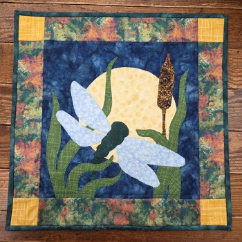 Moonlight Dragonfly Kit