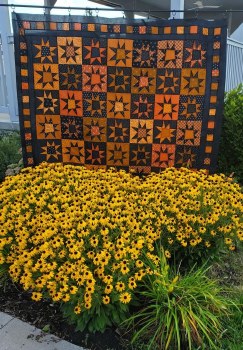 Spellbinding Stars Kit