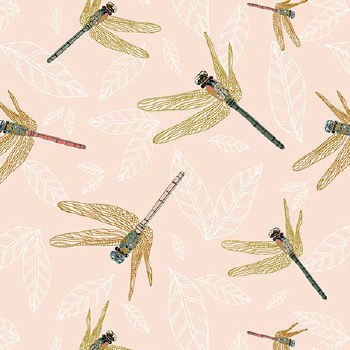 Meadow Drift Dragonflies Salmo