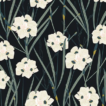 Meadow Drift Irises Midnight