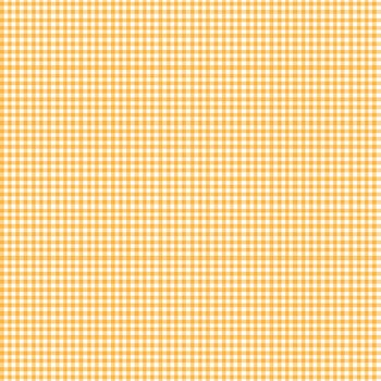 Bee Ginghams Melanie Daisy