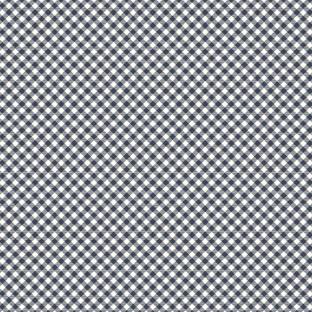 BloomBerry Gingham Midnight