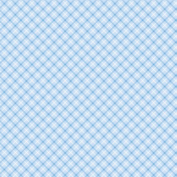 Special Delivery Plaid Blue