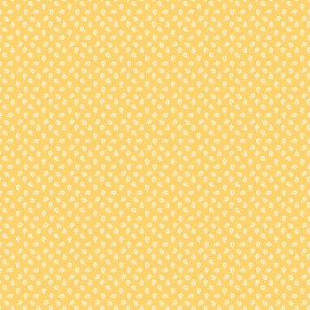 New Beginnings Posies Buttercream