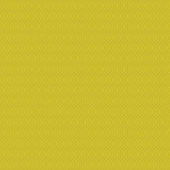 Essence Lattice Citron