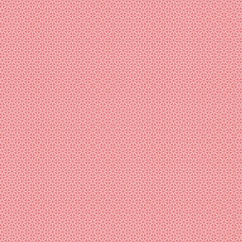Front Porch Geometric Coral