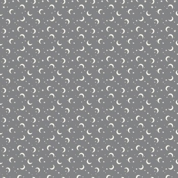 Frank and Friends Moon Stars Gray