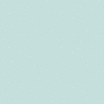 Flannel Dapple Dot Aqua