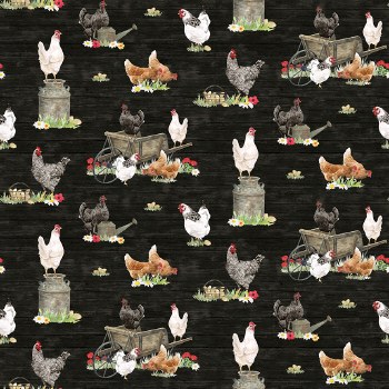 Heartland Chickens Black