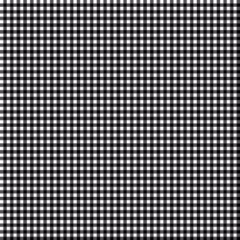 Little Ladybug Gingham Black