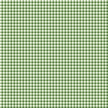 Little Ladybug Gingham Green
