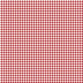 Little Ladybug Gingham Red