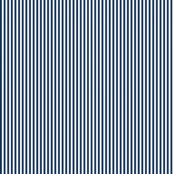 Stripe Navy White 1/8th Inch