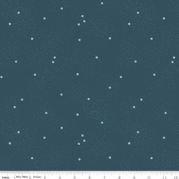 Dainty Daisy Stargazer