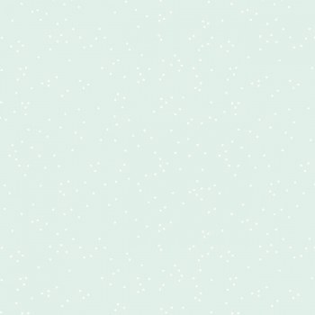 Blossom Bleached Denim