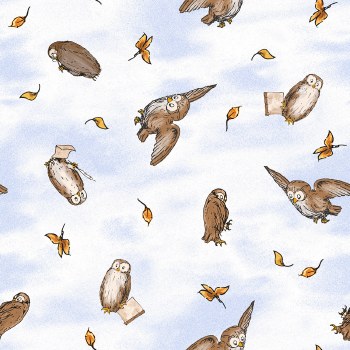 Classic Winnie the Pooh Owls Lt Blue