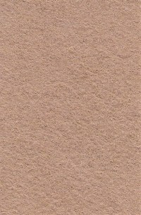 Wool Felt - Camel