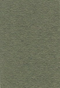 Wool Felt - Olive