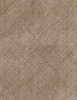 Burlap Texture Barley
