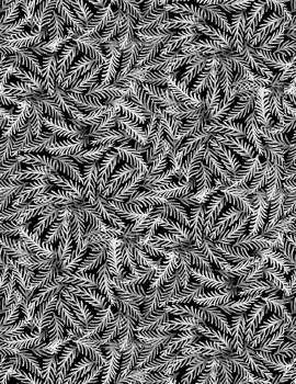 Silent Night Branches Black
