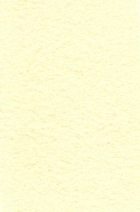 Wool Felt - Straw