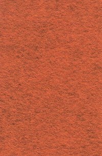 Wool Felt - Pumpkin Spice