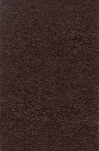 Wool Felt - Light Brown 12"x18"