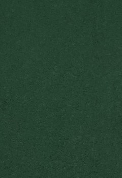 Wool Felt - Evergreen 12 x 18