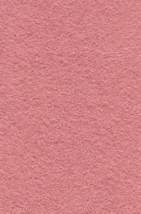 Wool Felt - Pink Grapefruit