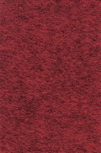 Wool Felt - Barnyard Red 12x18
