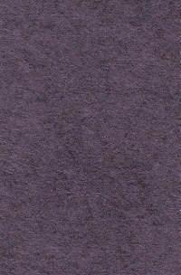 Wool Felt - Vineyard