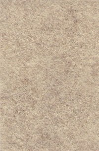 Wool Felt - Sandstone