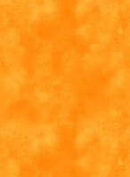 Essentials Washart Orange