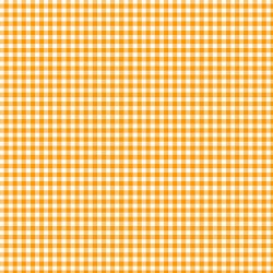 Ghostly Garden Gingham Orange