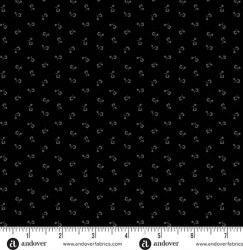 Century Black on Black Tulip
