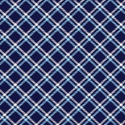 Winter Wonders Plaid Blue
