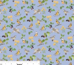 Shop Hop 2025 Meadowlarks Blue