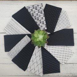 Century Blk on Wht 12 FQs