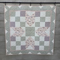 Barn Star 4 Kit Baby