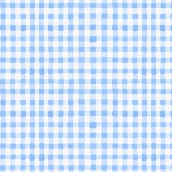 Spring Cheer Gingham Denim