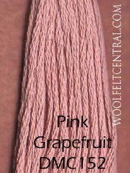 Floss Pink Grapefruit