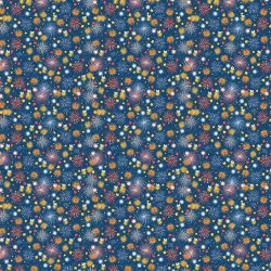 Happy Birthday America Fireworks Navy