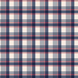 Friday Harbor Lg Plaid CrNavy